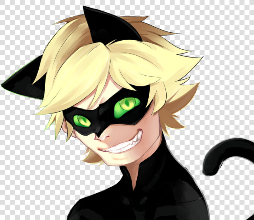 Chat Noir   Cat Noir No Background  HD Png DownloadTransparent PNG
