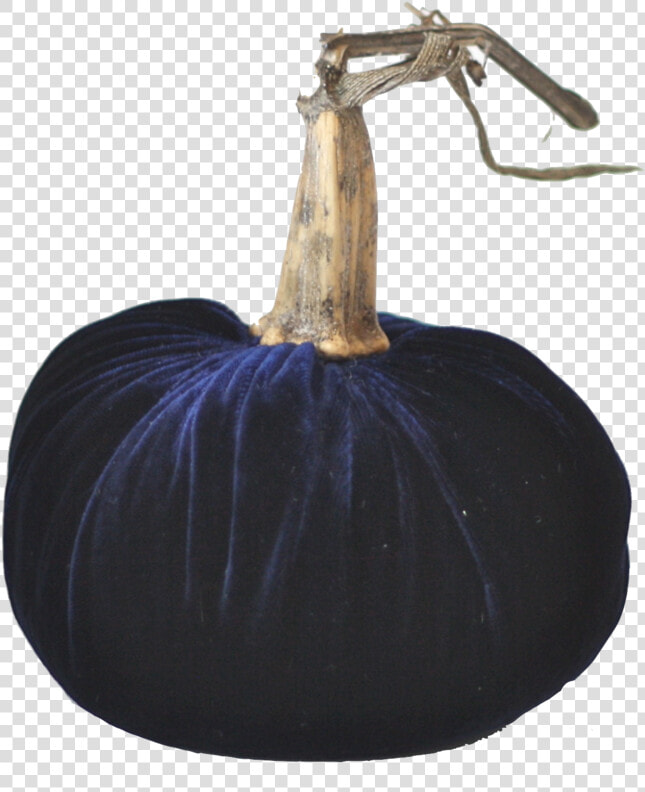 Midnight Blue Velvet Pumpkin With Real Stem   Velvet Pumpkin Png Transparent Background  Png DownloadTransparent PNG