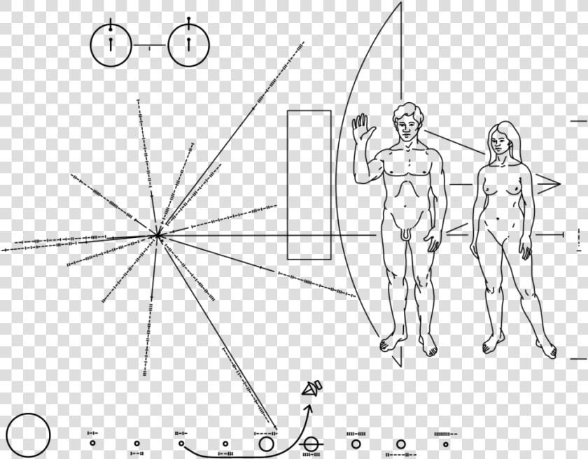 Pioneer Plaque Svg  HD Png DownloadTransparent PNG