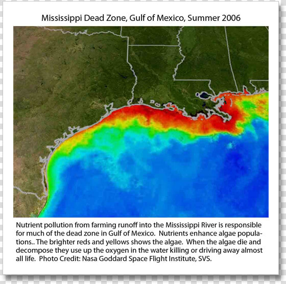 Gulf Of Mexico Hypoxia Zone  HD Png DownloadTransparent PNG