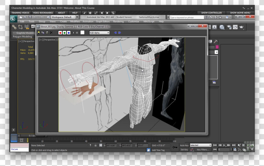 Make Character Abs Modeling In 3ds Ma  HD Png DownloadTransparent PNG