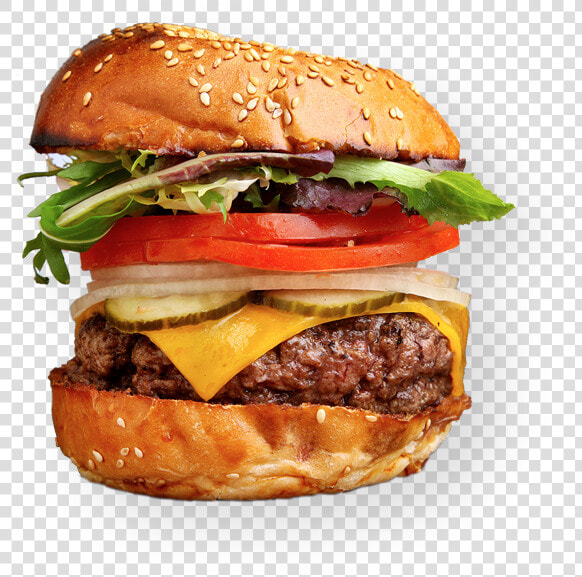 Hamburguesa Artesanal Png  Transparent PngTransparent PNG