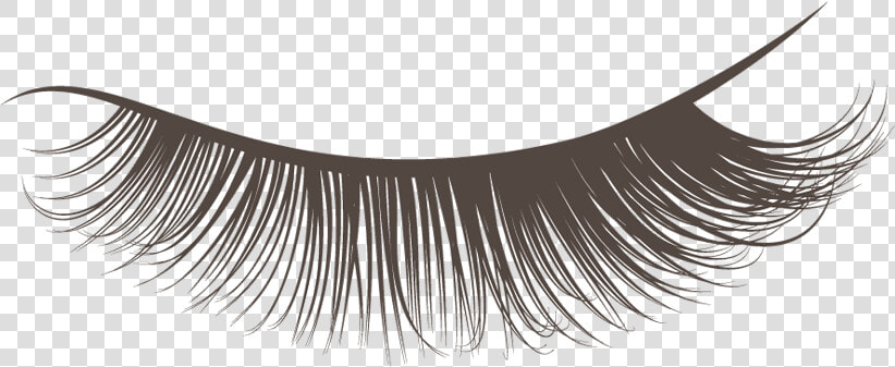 Best Lashcraft Eyelash Extensions   Transparent Background Lashes Clipart  HD Png DownloadTransparent PNG