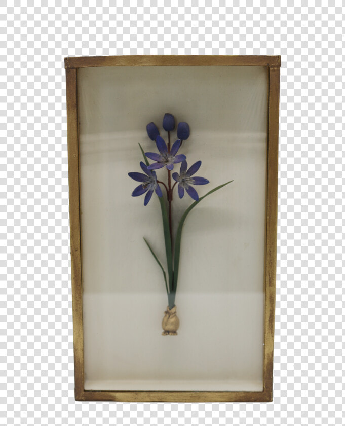 Purple Flower Shadow Box Srcset   cdn   Camas  HD Png DownloadTransparent PNG