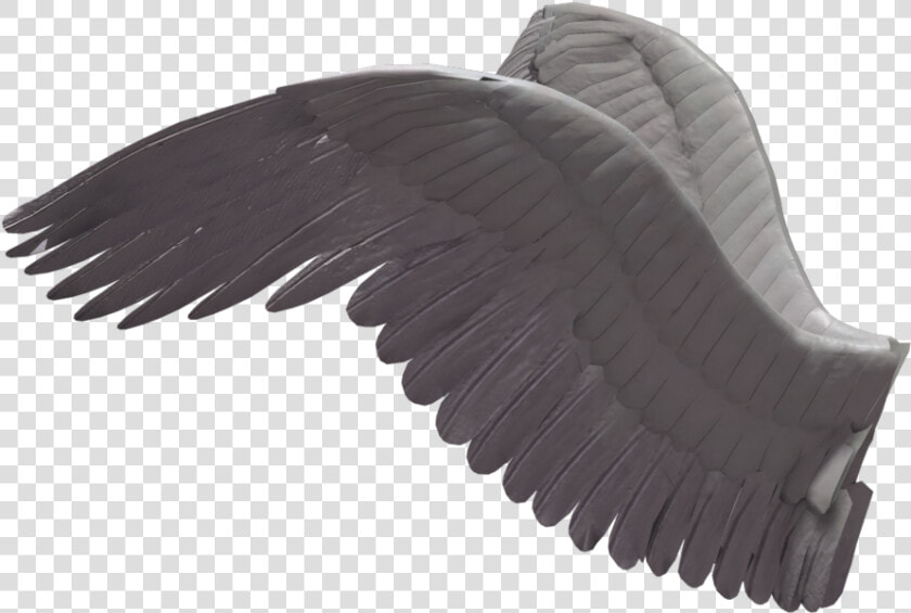 Wings Transparent Side   Angel Wings Side View Png  Png DownloadTransparent PNG