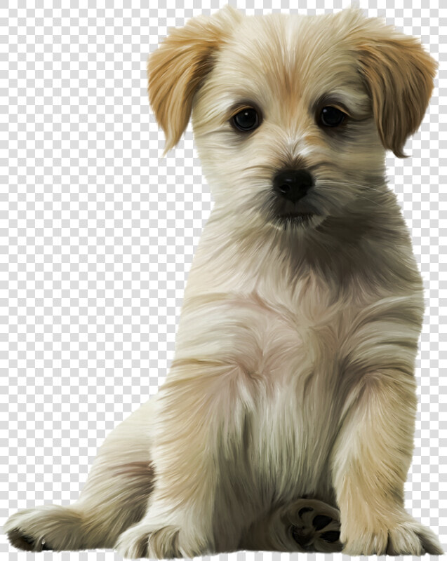 Dog Cat Puppy Kitten Felidae   Cute Dogs Png  Transparent PngTransparent PNG