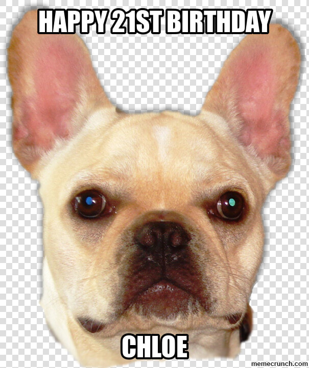 Happy 21st Birthday   Happy Birthday Ginger Cunt  HD Png DownloadTransparent PNG