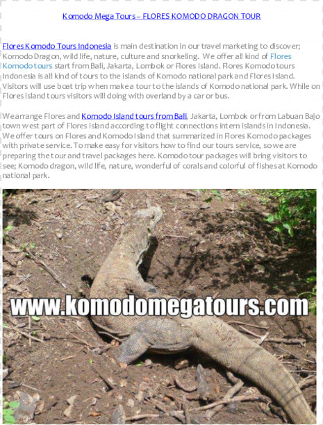 Alligator Lizard  HD Png DownloadTransparent PNG