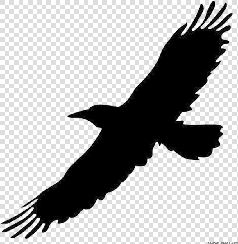 Clip Art Crow Bird Image Portable Network Graphics   Flying Black Bird Png  Transparent PngTransparent PNG