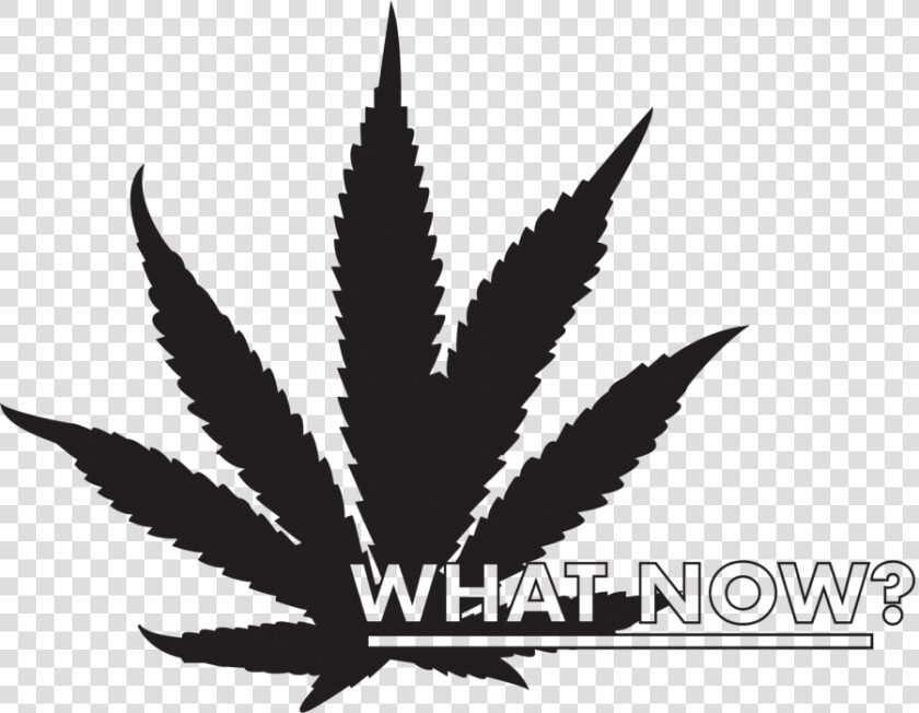 Transparent Weed Leaf Png   Marijuana Leaf Clipart  Png DownloadTransparent PNG