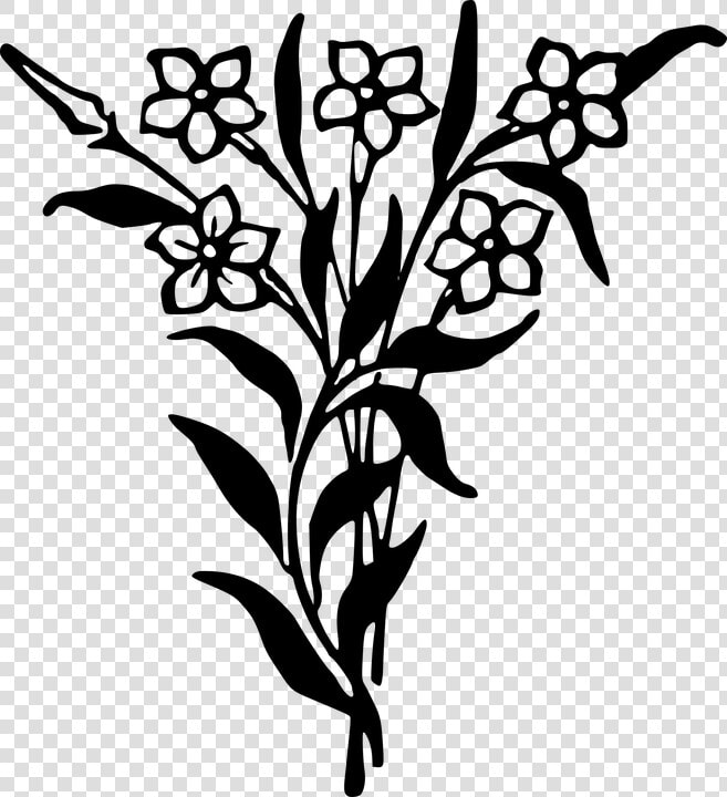 Floral  Flower  Plant   Black And White Flowers Bunch  HD Png DownloadTransparent PNG