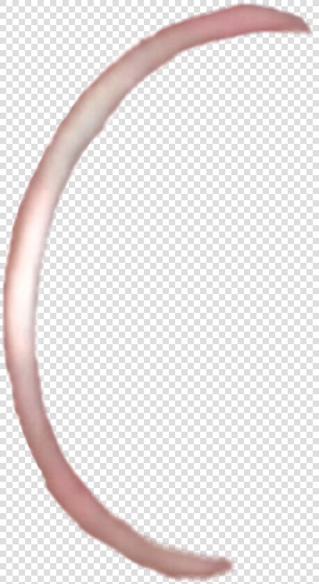  piercing  nosering  jewlery  aesthetic  edit  lipring   Transparent Nose Ring Sticker  HD Png DownloadTransparent PNG