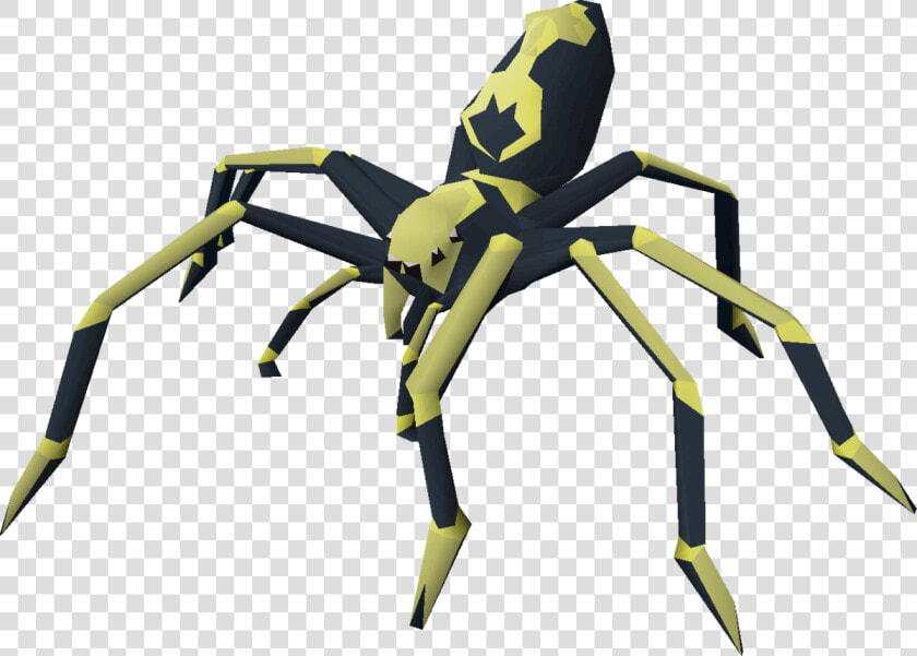 Araneus Cavaticus  HD Png DownloadTransparent PNG