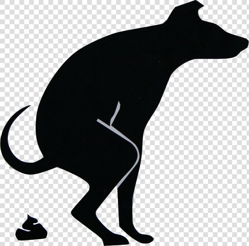 Dog Pooping Png   หมาขี้ไม่มีใครยกหาง  Transparent PngTransparent PNG