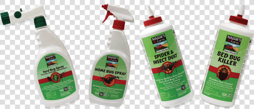 Carpenter Ant  HD Png DownloadTransparent PNG