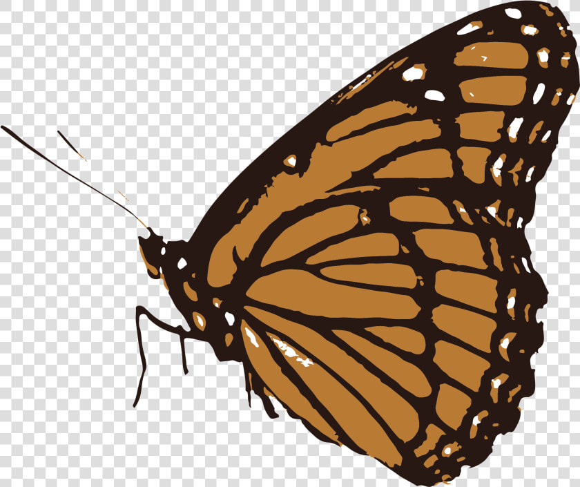 Butterfly Png Black And White Smile   Butterfly Clipart Black And White Transparent  Png DownloadTransparent PNG