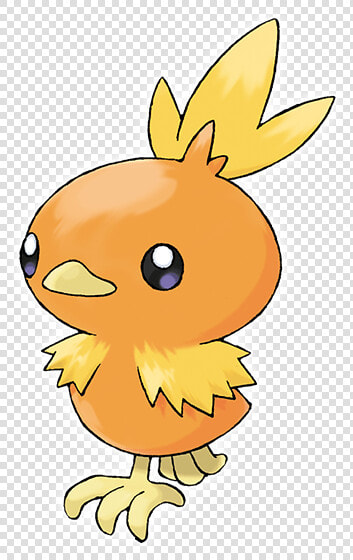 Torchic Png  Transparent PngTransparent PNG
