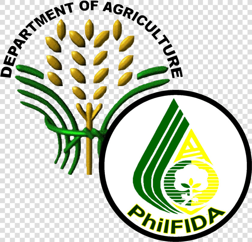 Philippine Sun Png  Transparent PngTransparent PNG