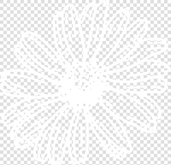 White Sun Flower Svg Clip Arts   Gerbera Daisy Clipart Black And White  HD Png DownloadTransparent PNG