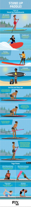 Stand Up Paddle Infographics  HD Png DownloadTransparent PNG