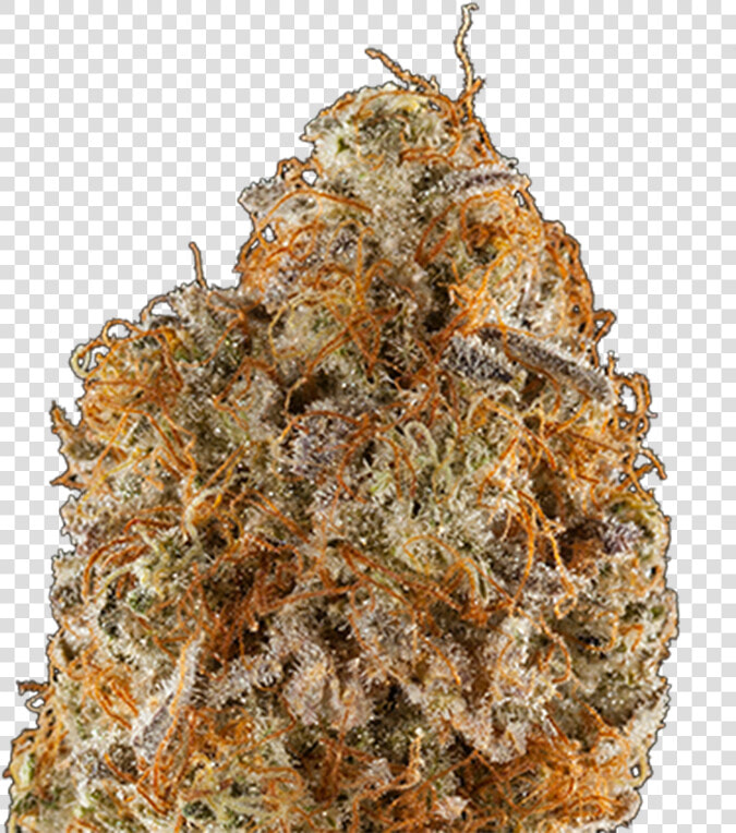 Transparent Stargate Png   Fruit  Png DownloadTransparent PNG