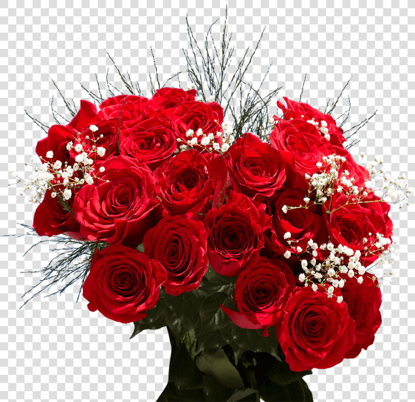 Order Two Dozen Red Roses Free Valentine S Day Delivery   Garden Roses  HD Png DownloadTransparent PNG