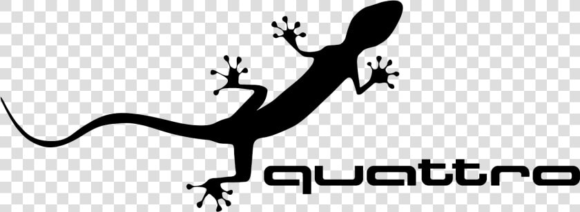 Audi Quattro Logo  HD Png DownloadTransparent PNG