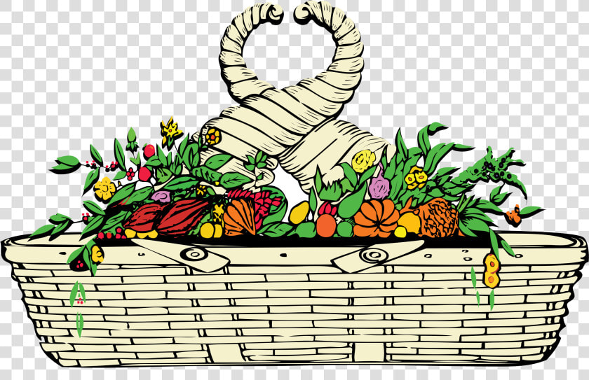 Vegetable plant flower   Coat Of Arms Of Venezuela  HD Png DownloadTransparent PNG