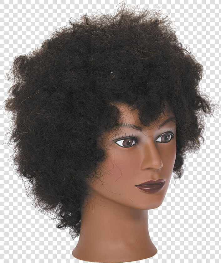 Transparent Manikin Png   Afro Wig On Manican  Png DownloadTransparent PNG