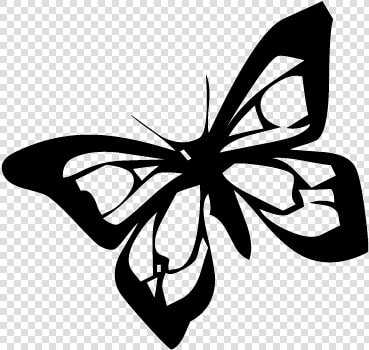 Brush footed Butterfly  HD Png DownloadTransparent PNG