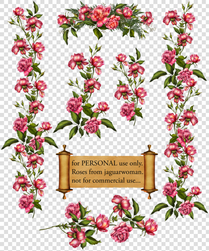 Rose Bush Clipart Rose Vines   Blossom Vines Clip Art  HD Png DownloadTransparent PNG