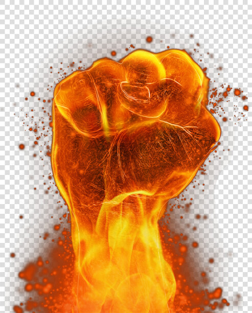 Transparent Fire Hand Png Image Free Download Searchpng   Hand On Fire Png  Png DownloadTransparent PNG