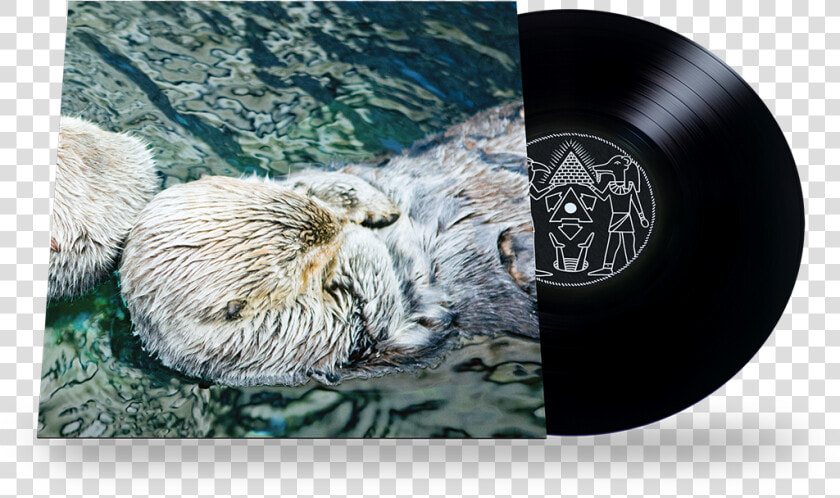 Image Of Twerk Otter   Otter  HD Png DownloadTransparent PNG