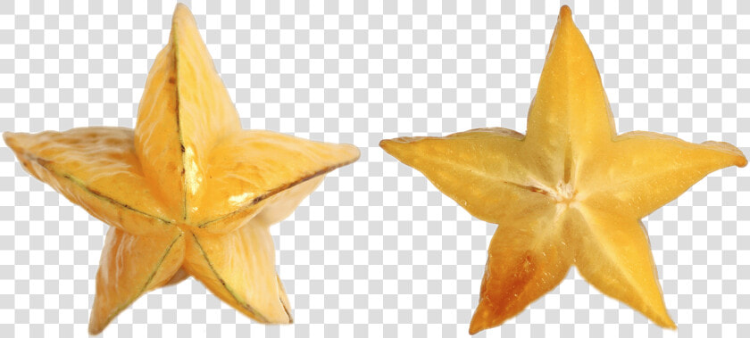 Transparent Star Fruit Png   Star Fruit Png Transparent  Png DownloadTransparent PNG