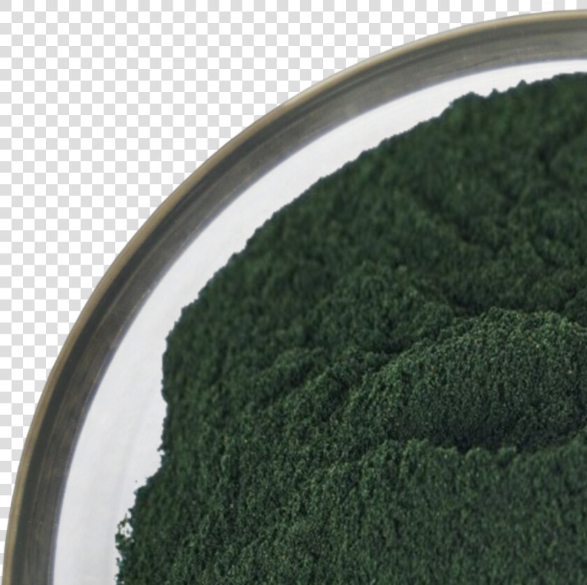 Certified Dried Kelp Powder For   Grass  HD Png DownloadTransparent PNG