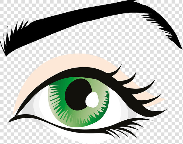 Green Eyes  Eyelid  Iris  Eyebrows  Brows  Seeing  HD Png DownloadTransparent PNG