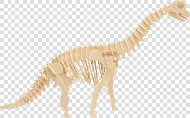 Transparent Brachiosaurus Png   Zahnrad Für Grill  Png DownloadTransparent PNG
