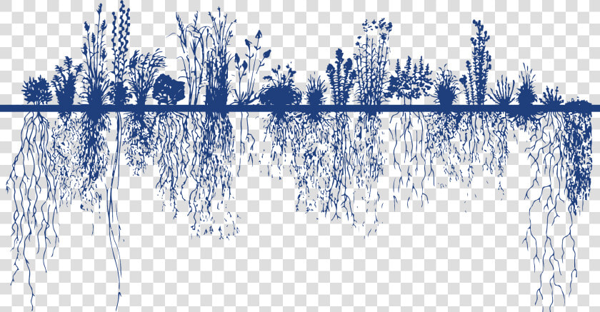 Roeslein Alternative Energy   Root System  HD Png DownloadTransparent PNG