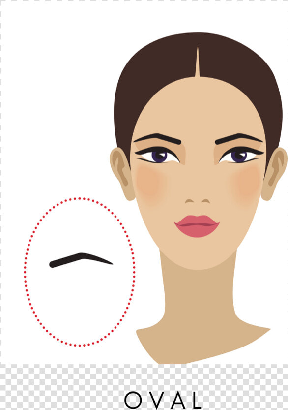 Oval Eyebrow Shape   Illustration  HD Png DownloadTransparent PNG
