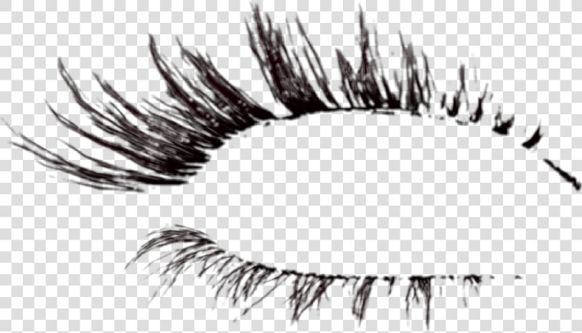  lashes   Eyelash Extensions  HD Png DownloadTransparent PNG