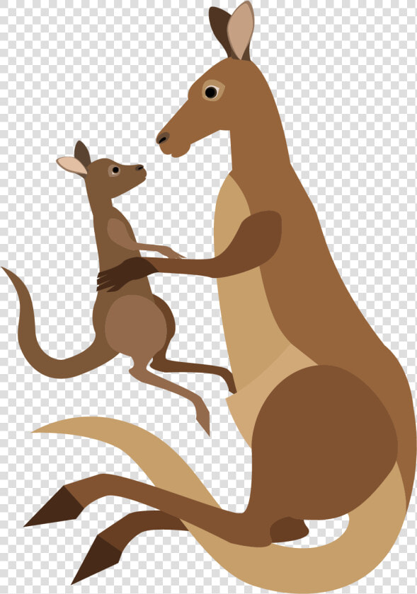 Kangaroo Cartoon Macropodidae   Kangaroo Png Vector  Transparent PngTransparent PNG