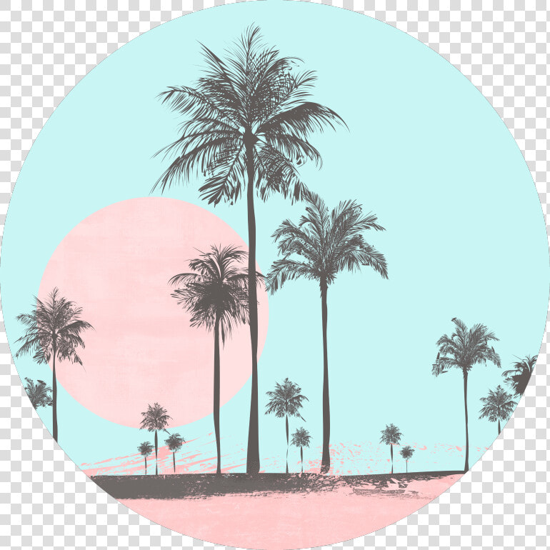 Miami Beach  Miami  Beach  Seaside  Coastal  Palm    Feeds Instagram Blue Pastel  HD Png DownloadTransparent PNG