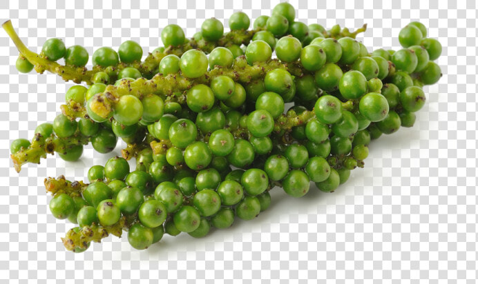 Green Pepper Pluspng   Green Pepper Png  Transparent PngTransparent PNG
