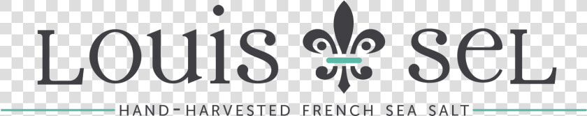 Louis Sel   Graphic Design  HD Png DownloadTransparent PNG