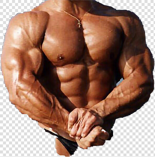  muscle  body  male  strong  ripped  bod  dadbod  freetoedit   Gnome Bodybuilder  HD Png DownloadTransparent PNG