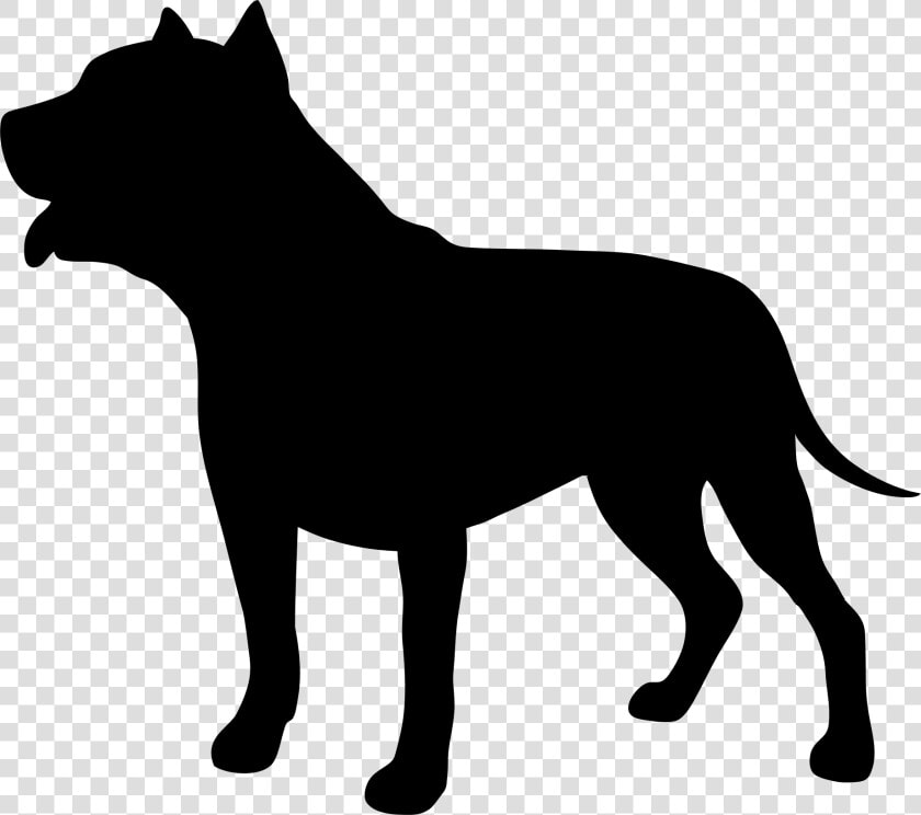 Wildlife puma silhouette   Pit Bull Dog Silhouette  HD Png DownloadTransparent PNG