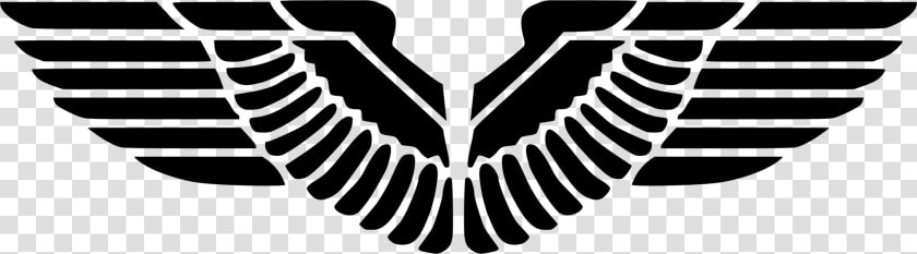 Eagle Wings Png   Eagle Wings Logo Png  Transparent PngTransparent PNG