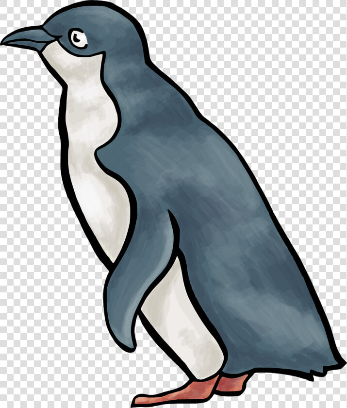 Penguin Clip Art Vector Graphics Royalty free Image   Little Blue Penguin Clipart  HD Png DownloadTransparent PNG