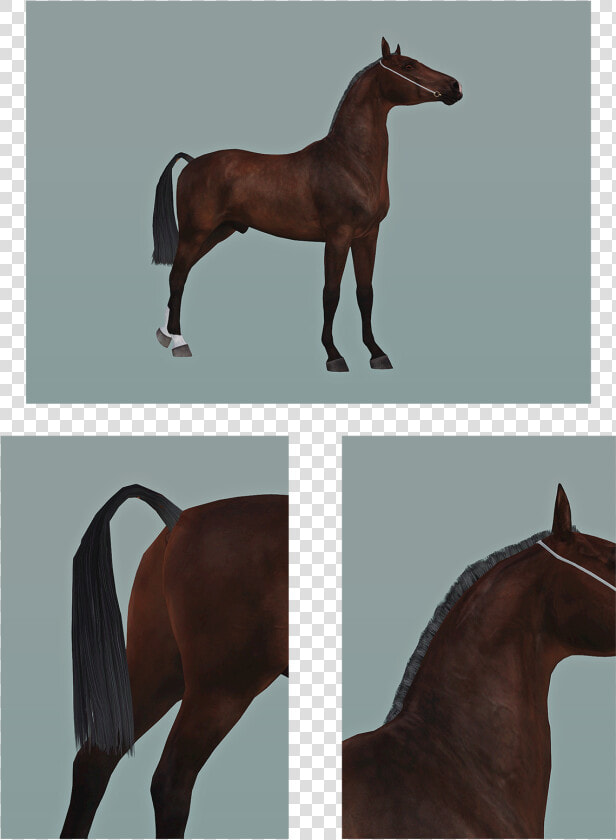 Sims 3 Roached Mane  HD Png DownloadTransparent PNG