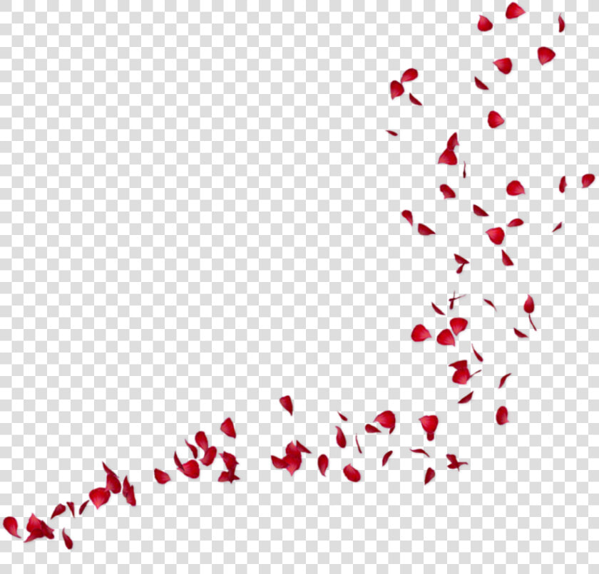   Rose Petals   Png V   4   3 Background   Rose Piece Png  Transparent PngTransparent PNG